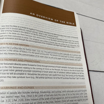 ESV Gray Student Study Bible - Be Still and Know - Add Your Name